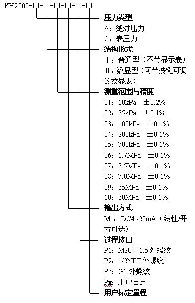 KH2000智能(néng)系列壓力變送器(qì)